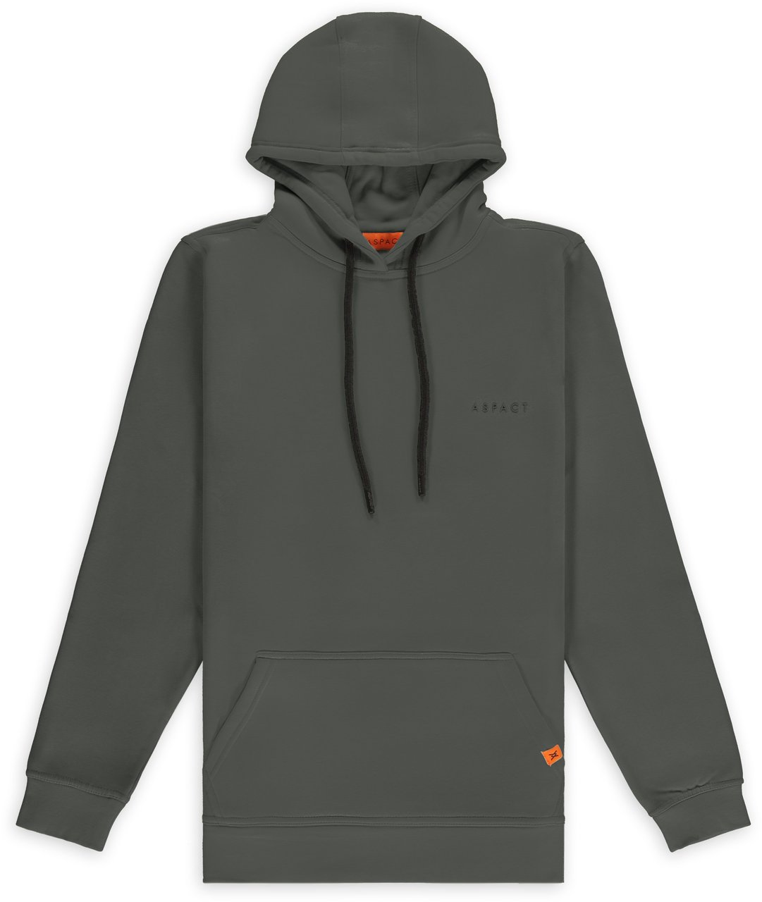 ASPACT Raf Hoodie Storm Front Grijs