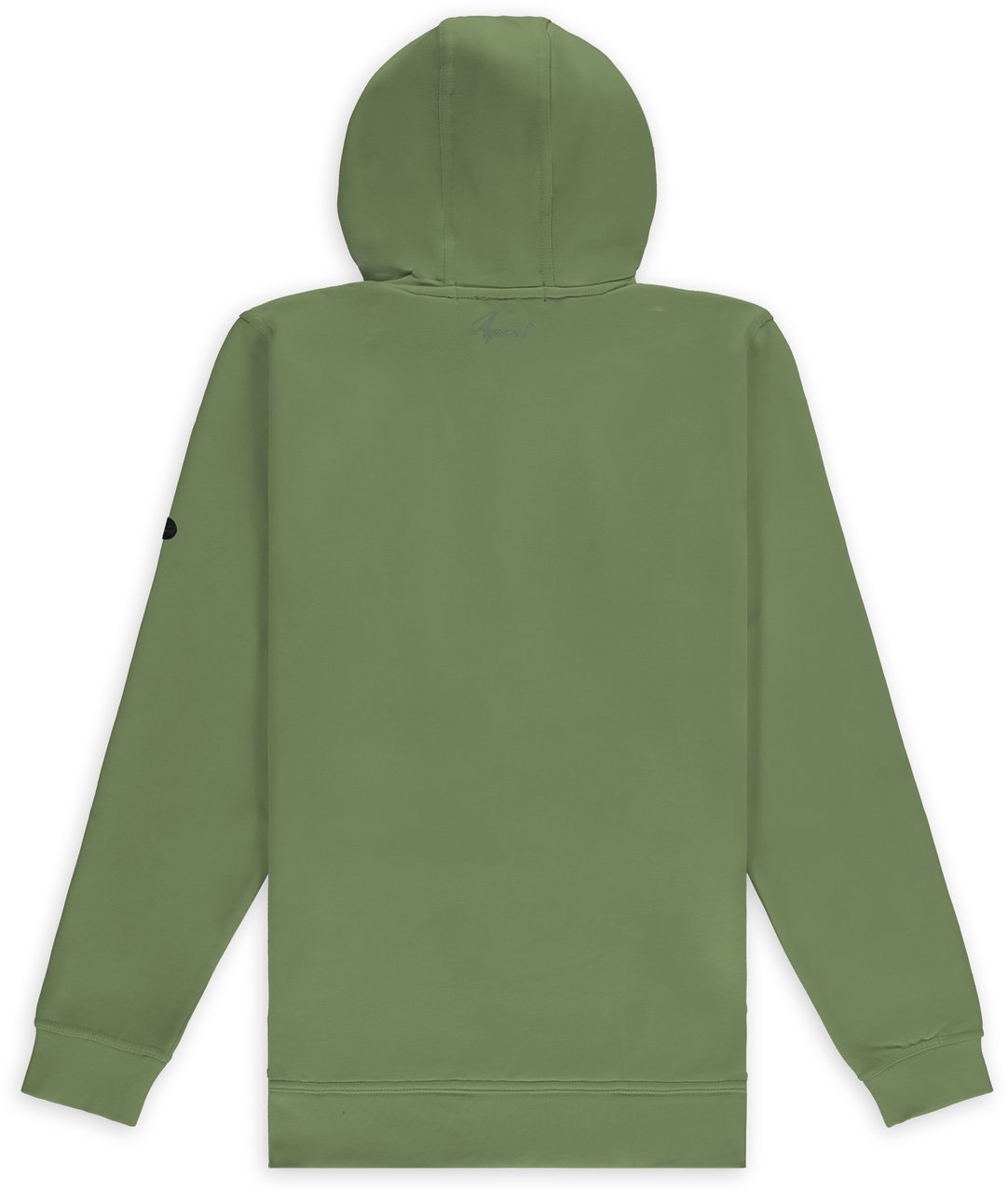 ASPACT Goos Hoodie Loden Frost Groen