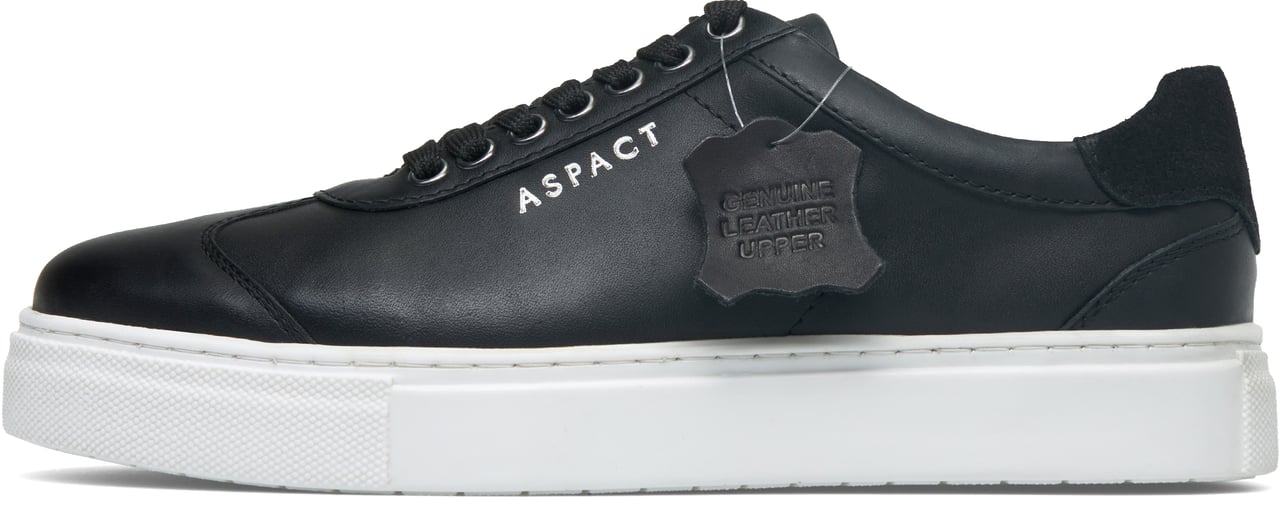 ASPACT Sind Black Zwart