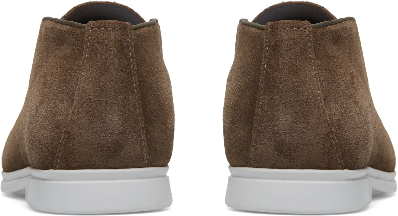 ASPACT Turthan Brown Bruin