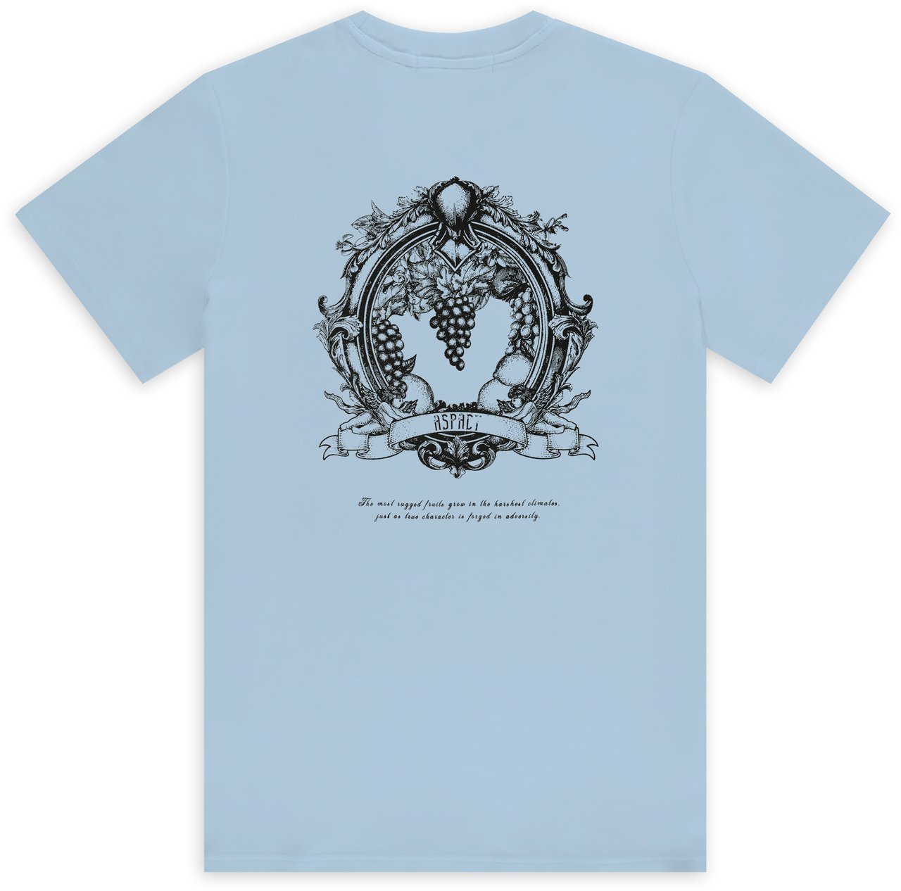 ASPACT Zain Tee Breeze Blauw