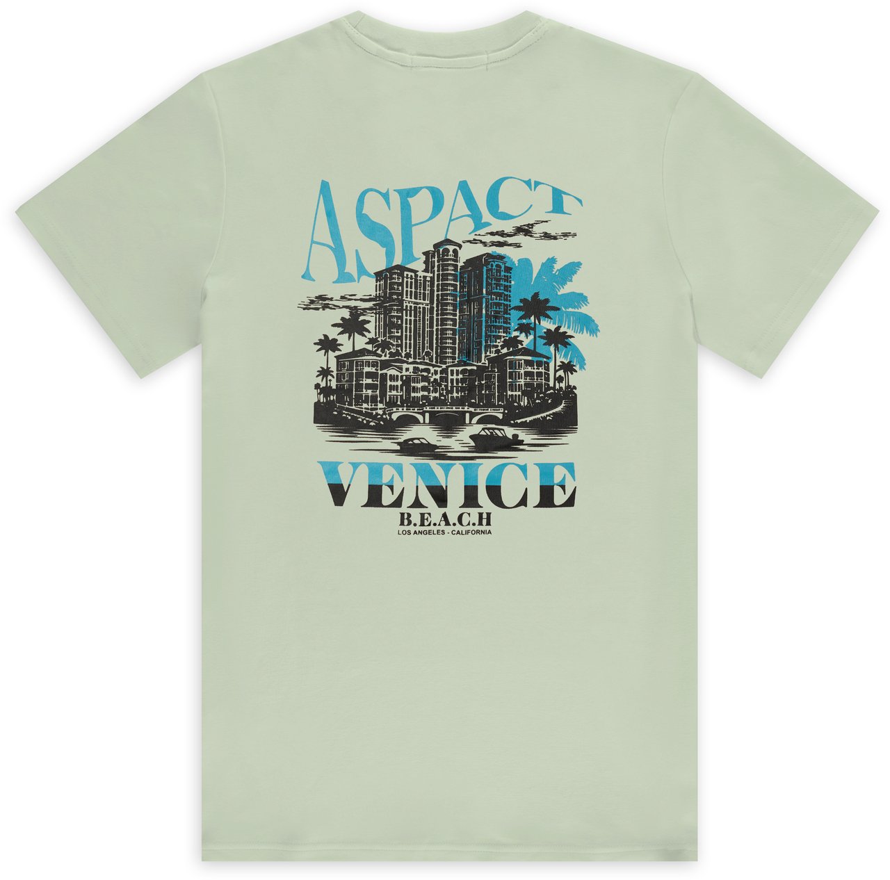 ASPACT Malika Tee Glass Groen