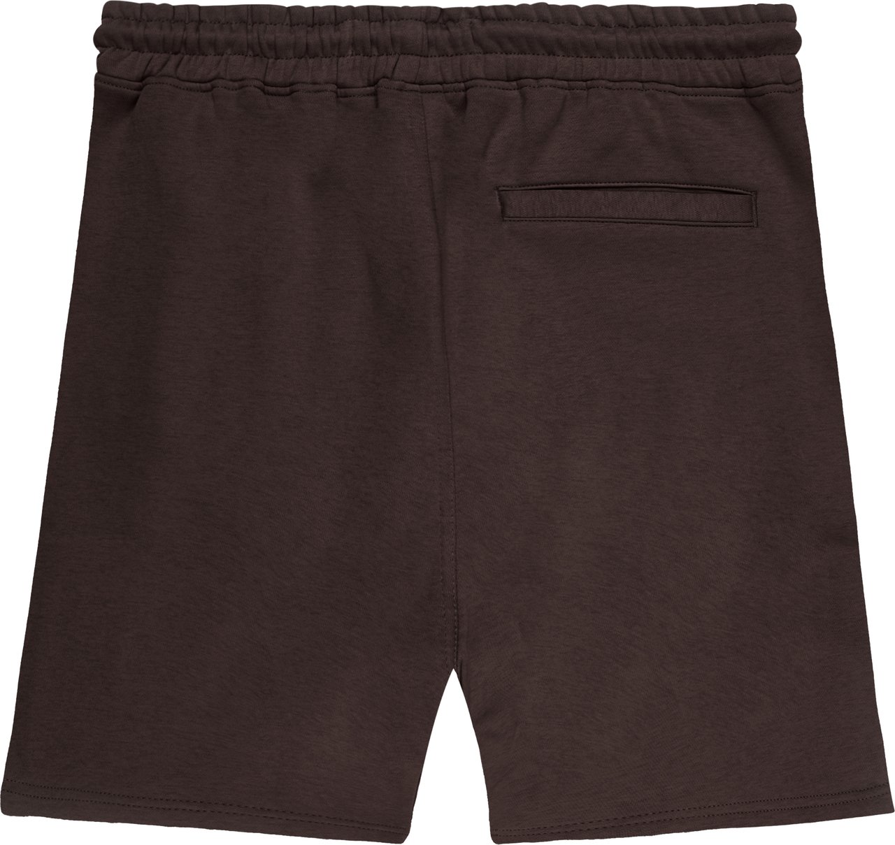 ASPACT Storm Short Brown Bruin