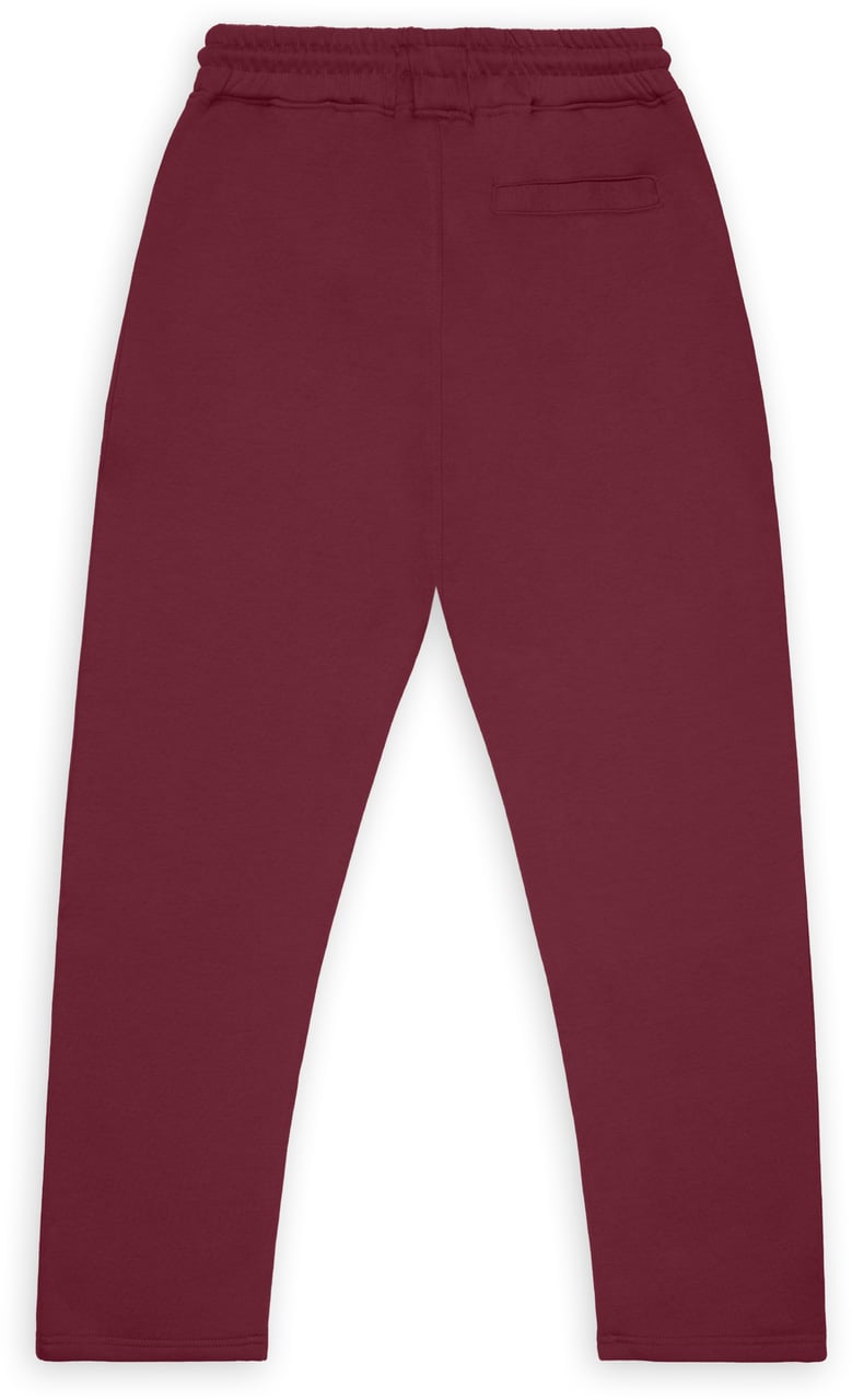 ASPACT Tor Pants  Burgundy Rood