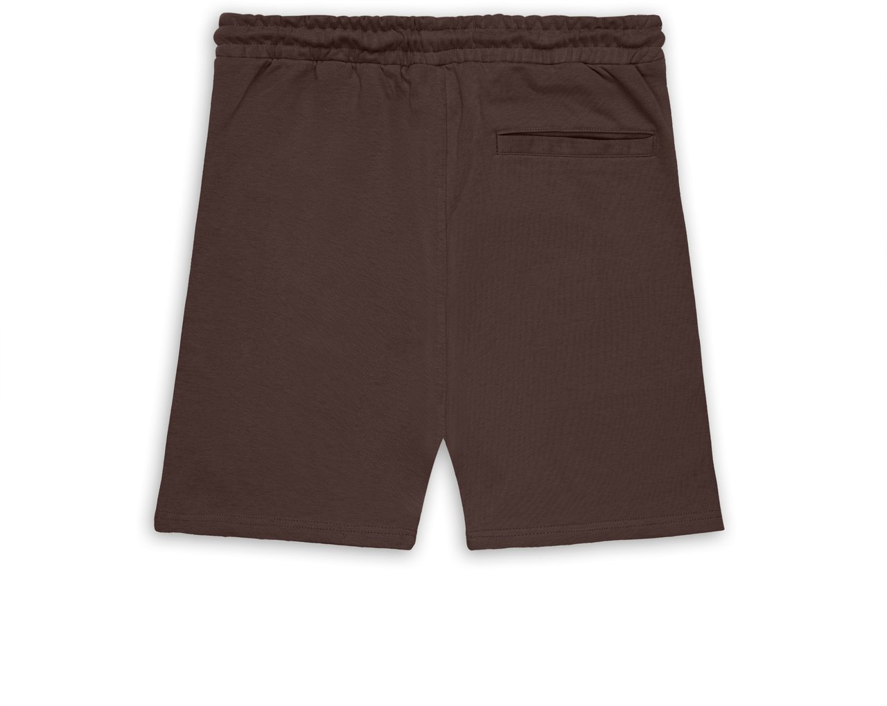 ASPACT Thomas Short Brown Bruin