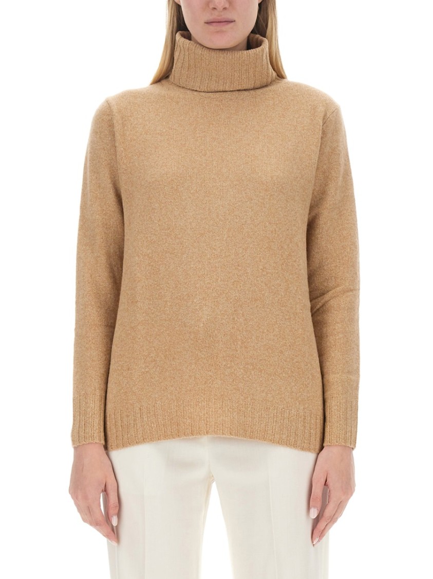 Aspesi High Neck Wool Jersey Bruin