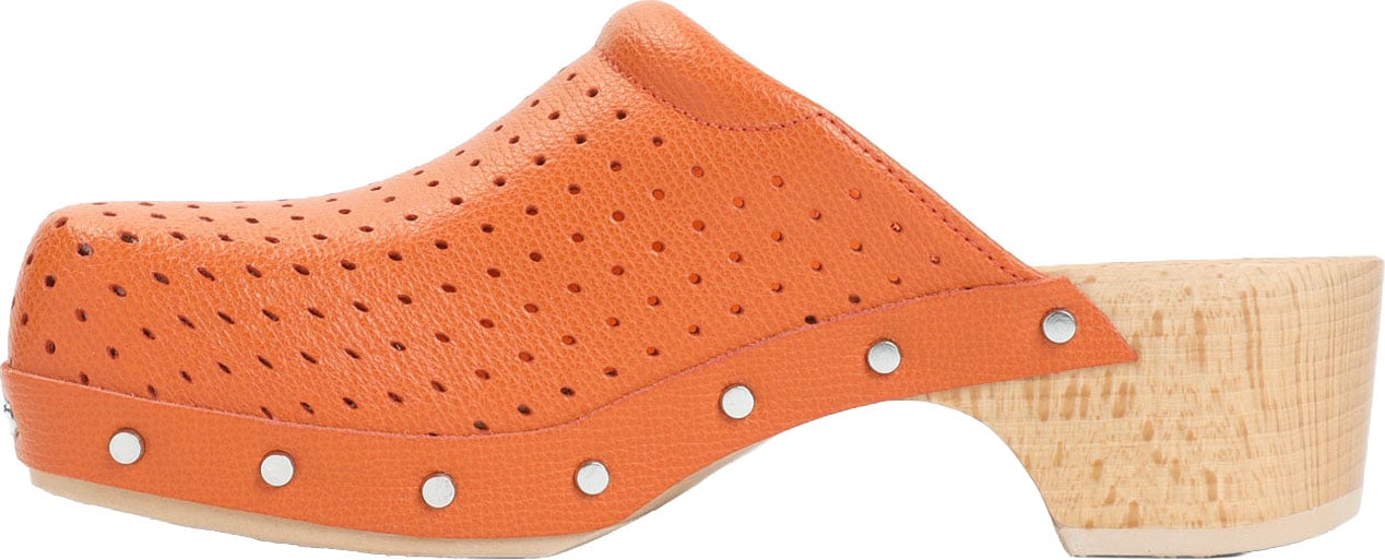 Balenciaga Scholl Clog Mule Divers