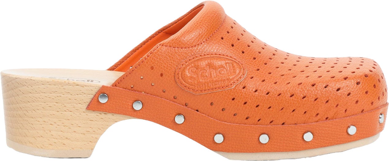 Balenciaga Scholl Clog Mule Divers