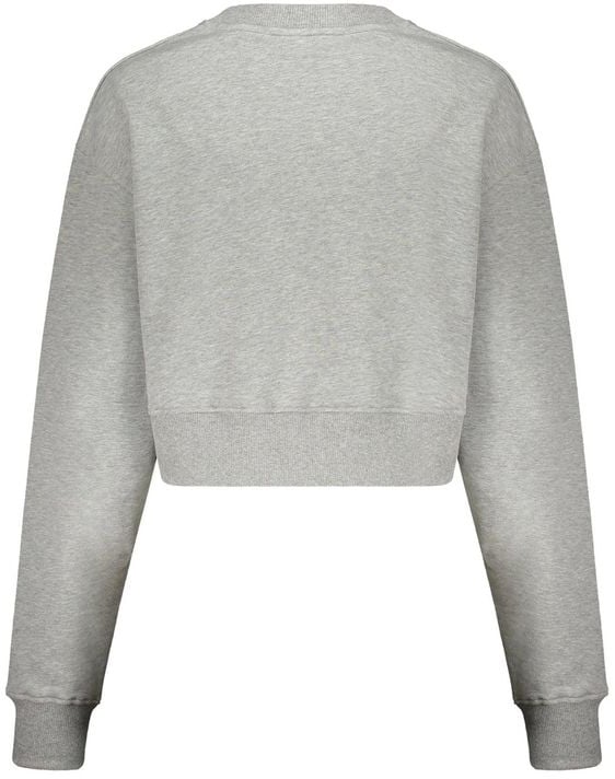 Balmain Balmain Gray Cotton Sweatshirt Grijs