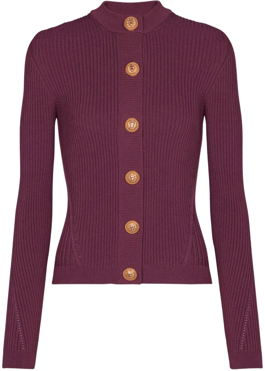 Balmain Sweaters Purple Paars