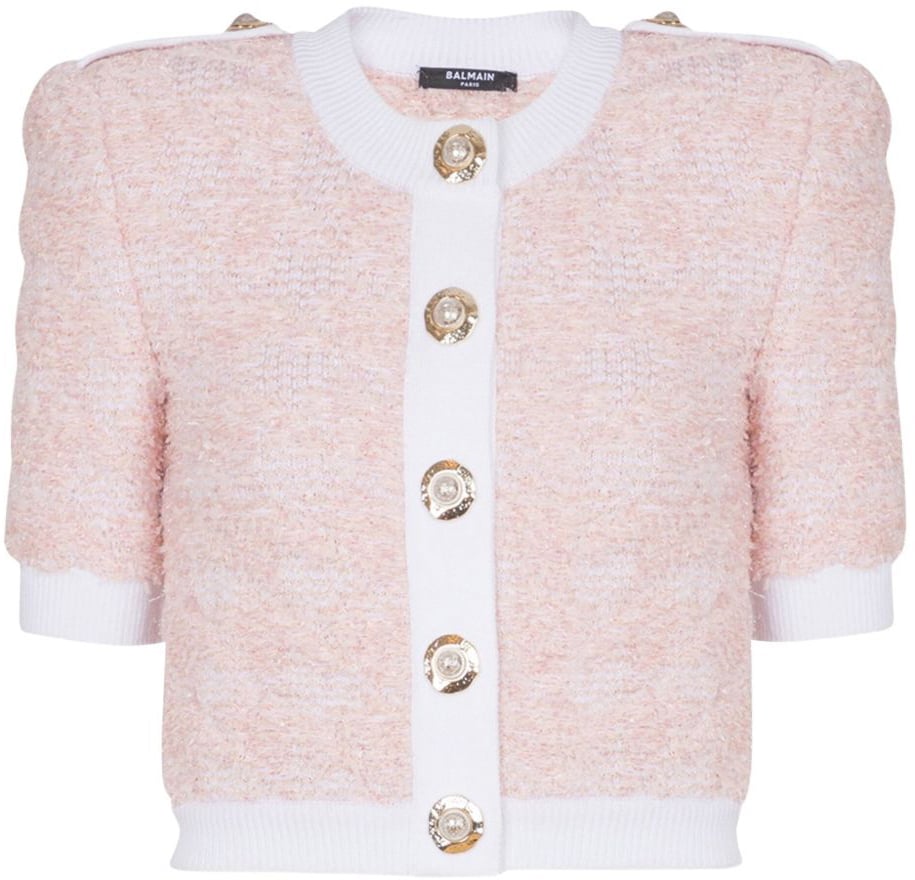 Balmain Sweaters Pink Roze