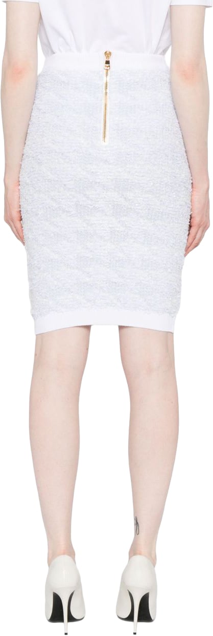 Balmain Skirts Bleu / Blanc Lichtblauw