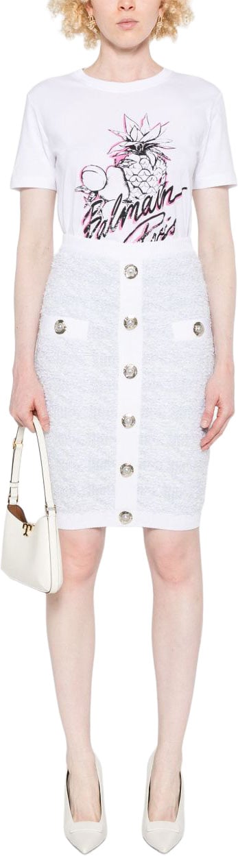 Balmain Skirts Bleu / Blanc Lichtblauw