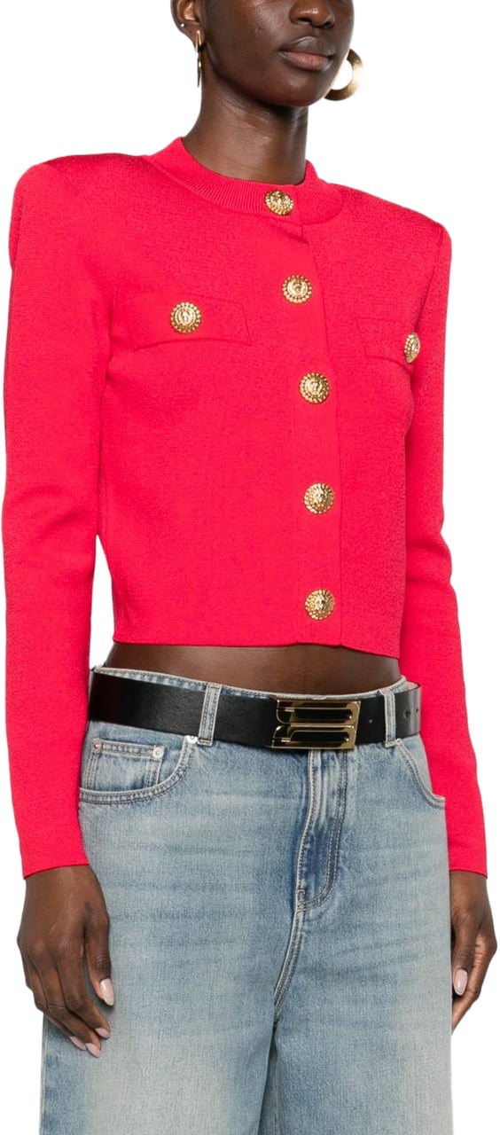 Balmain Sweaters Fuchsia Roze