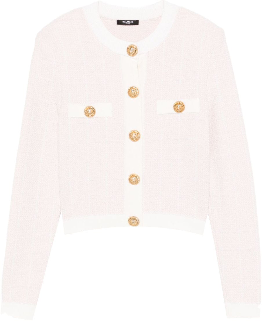 Balmain Sweaters Pink Roze