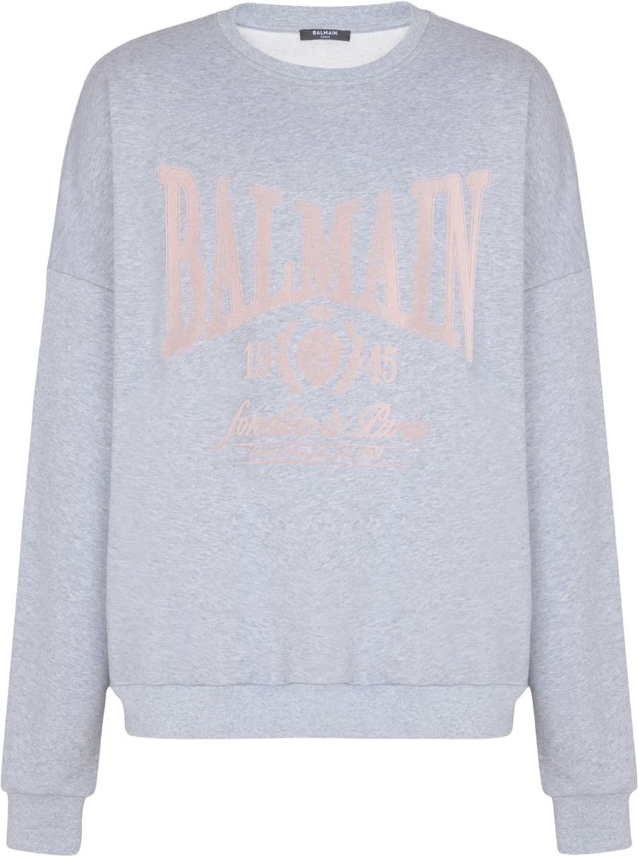 Balmain Sweaters Gris Lichtgrijs