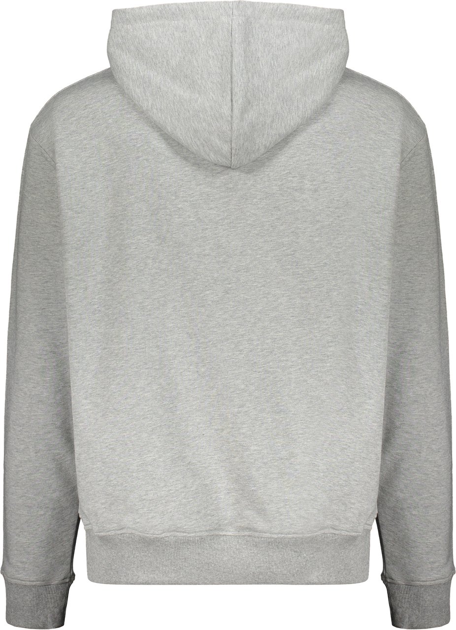 Balmain Hoodie Grijs