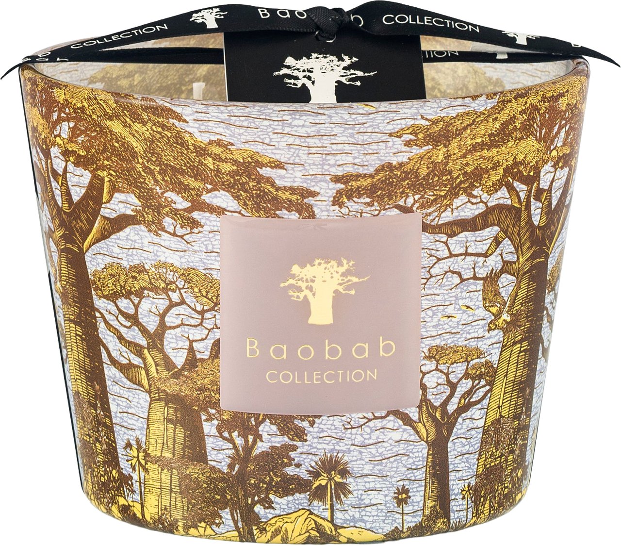 Baobab Geurkaarsen Divers