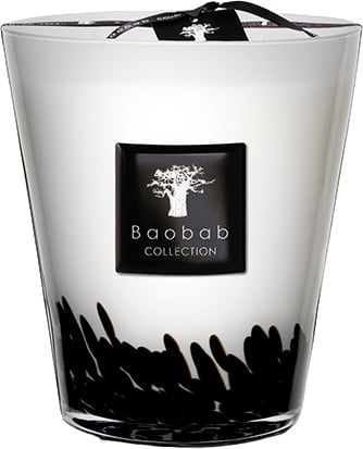 Baobab Geurkaarsen Grijs Grijs