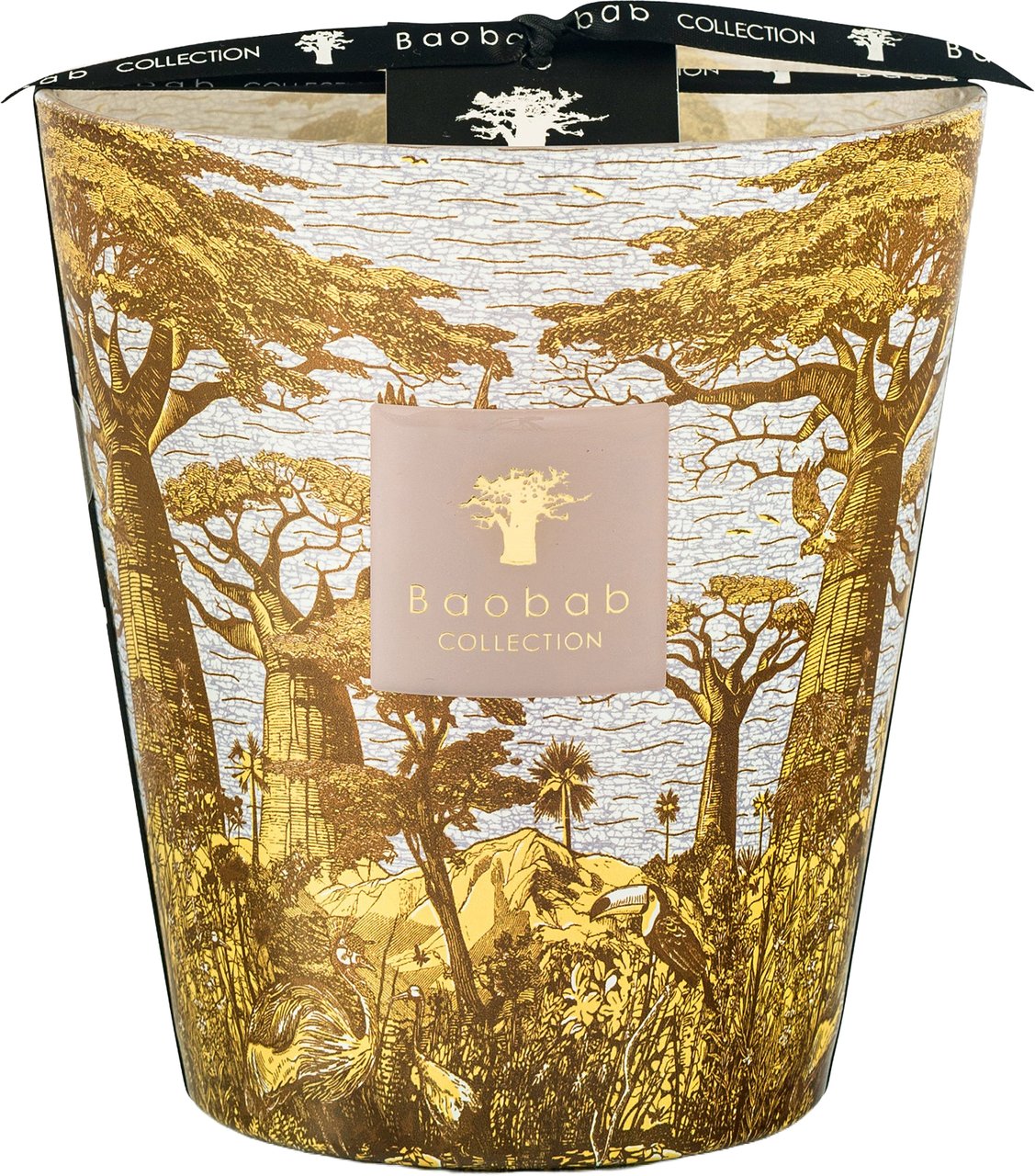 Baobab Geurkaarsen Divers