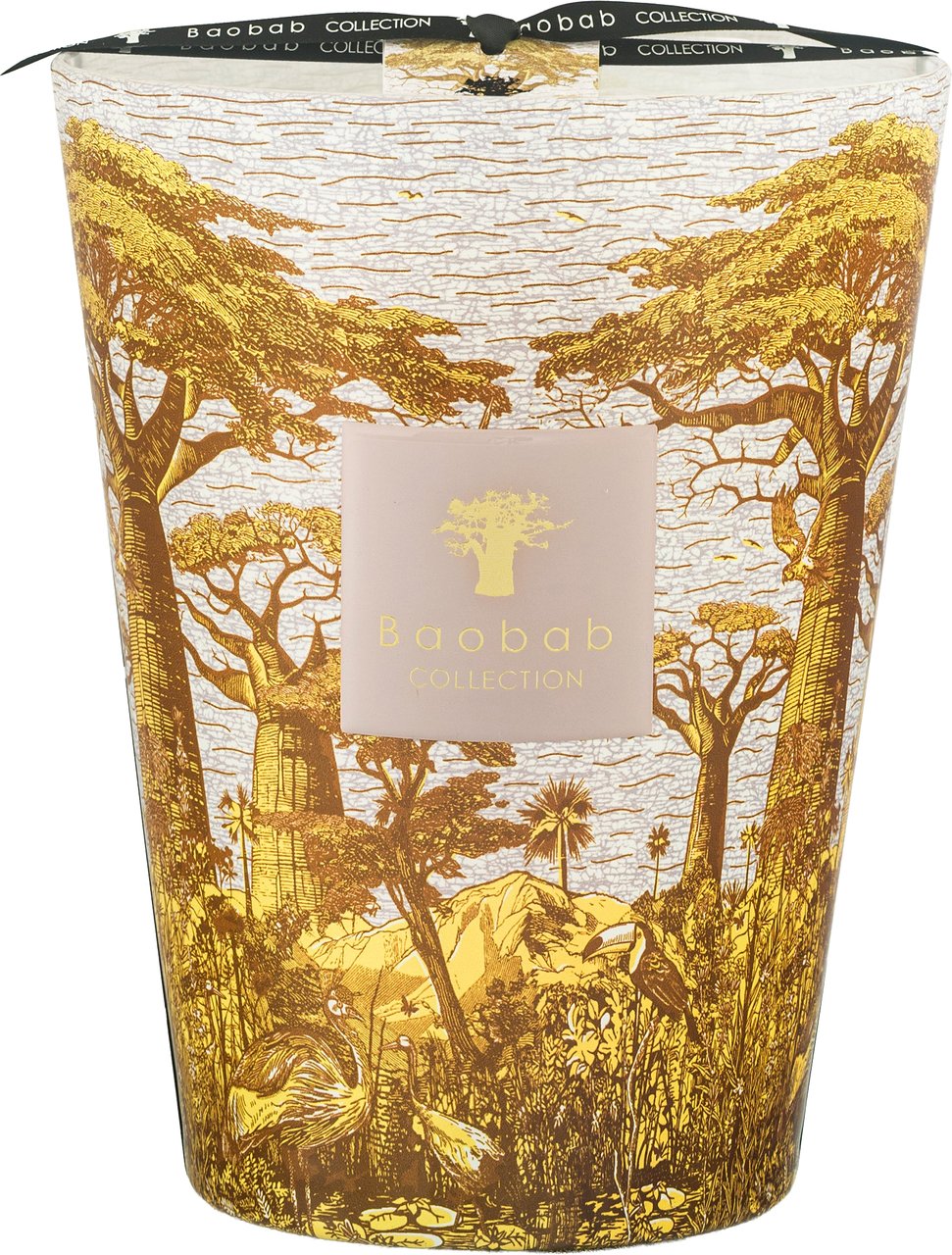 Baobab Geurkaarsen Divers