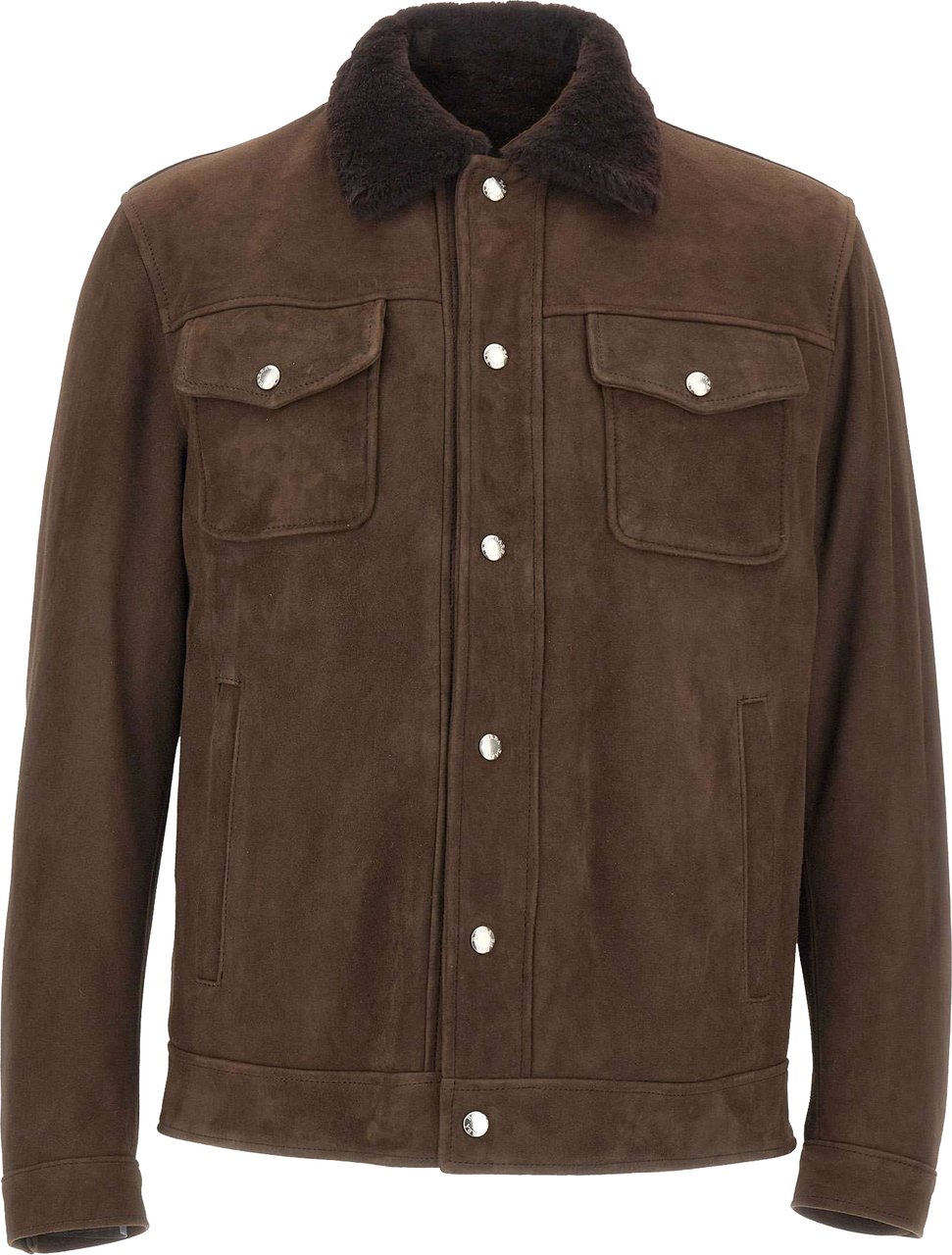 Barba Jackets Brown Bruin