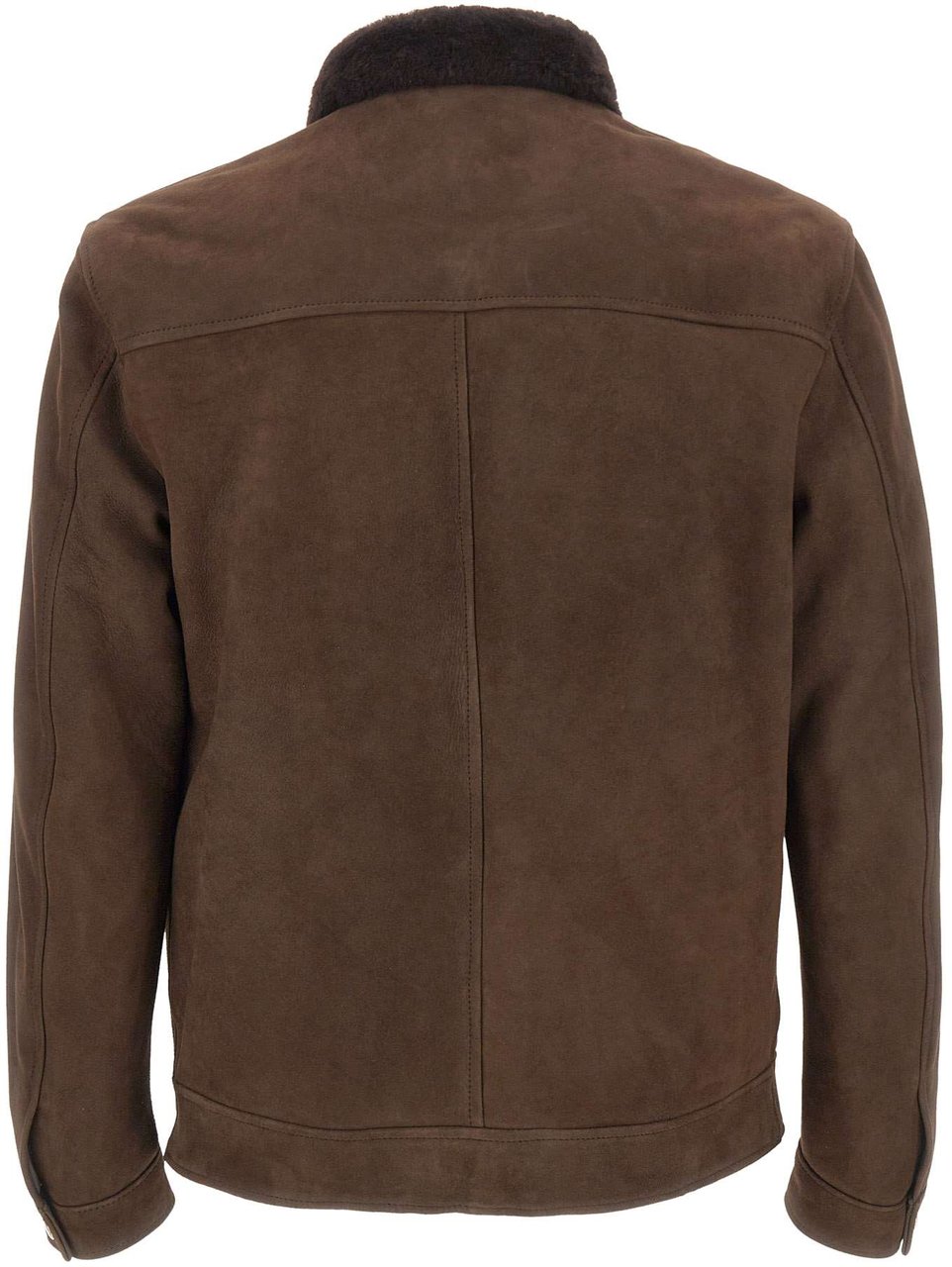 Barba Jackets Brown Bruin