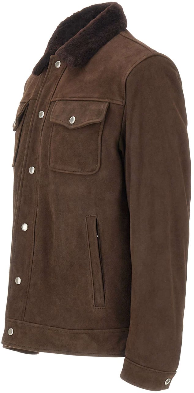 Barba Jackets Brown Bruin