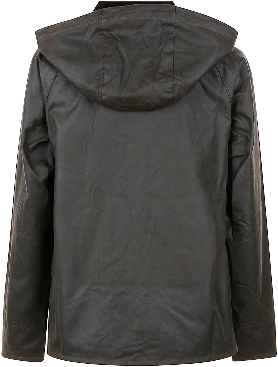 Barbour Coats Olio Divers