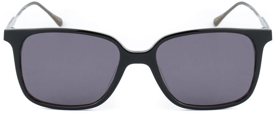 Belstaff Brown Titanium Sunglasses Bruin