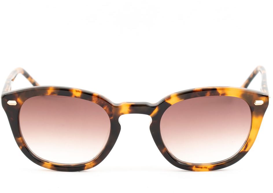 Belstaff Brown Acetate Sunglasses Bruin