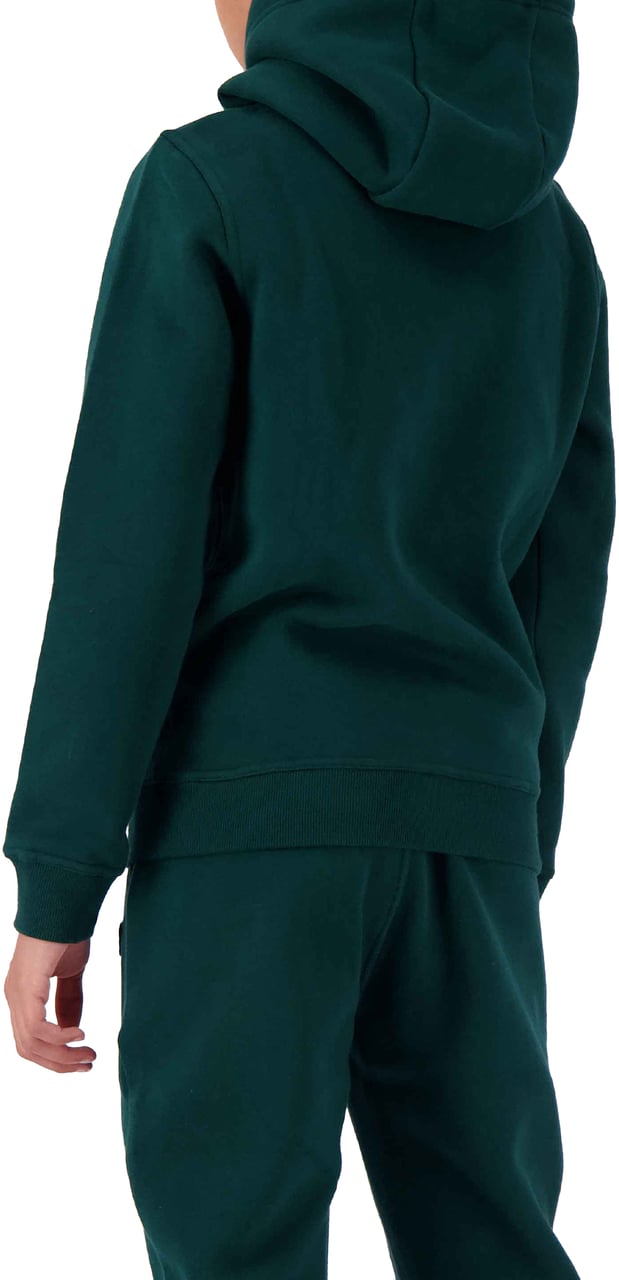 Black Bananas Jr. Cruise Hoodie Groen
