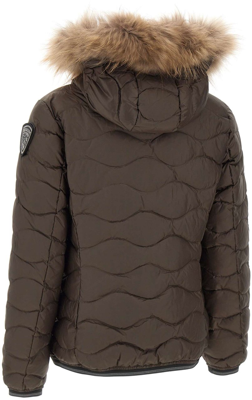 Blauer Coats Brown Bruin