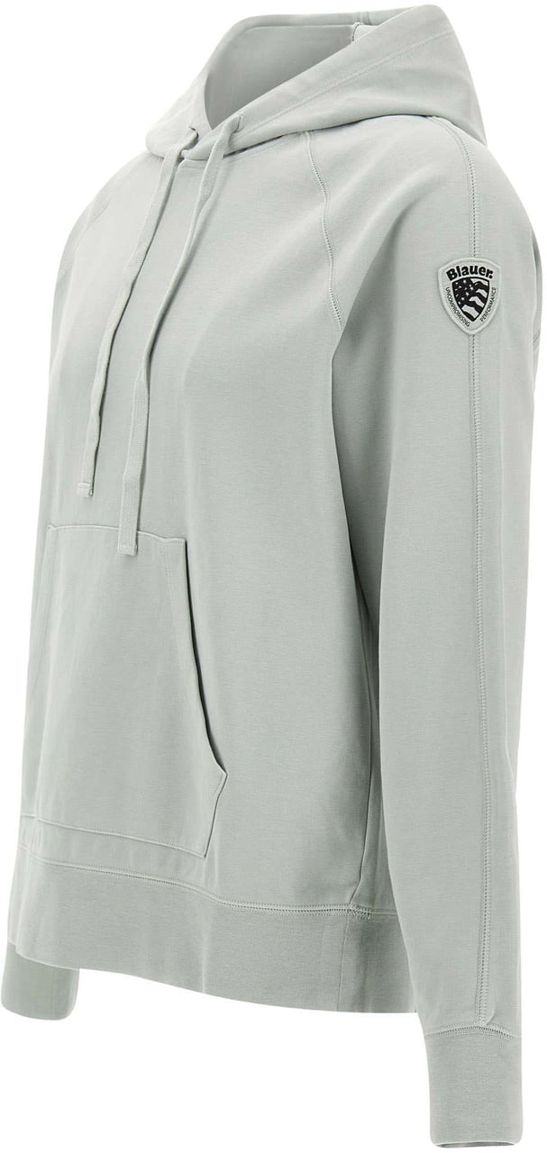 Blauer Sweaters Grey Lichtgrijs