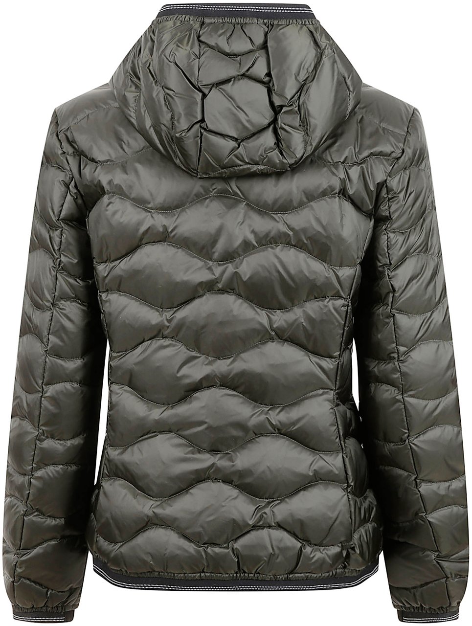 Blauer Coats Green Groen