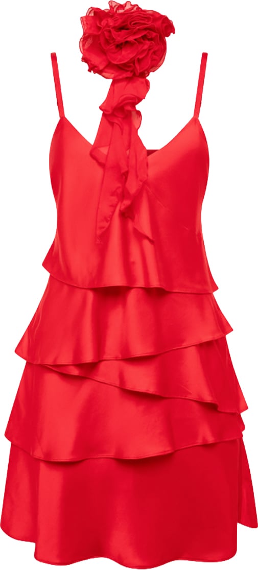 Blugirl Dresses Carminio Rood