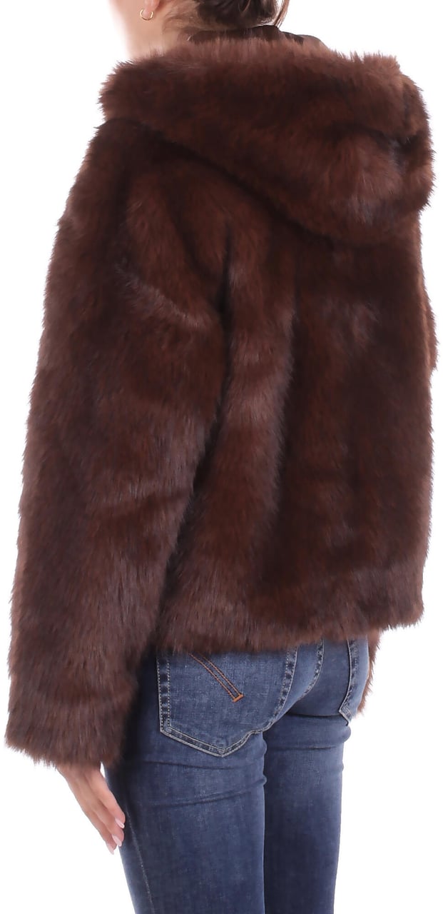 Blugirl Coats Cioccolato Bruin