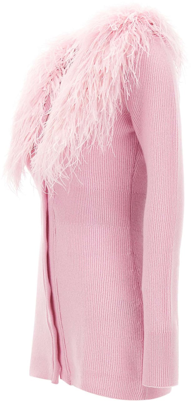 Blumarine Sweaters Pink Roze