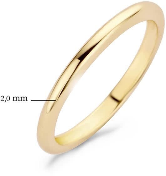 Blush Blush Ring 1117YGO/56 14k Geelgoud Glad Maat 56 Goud