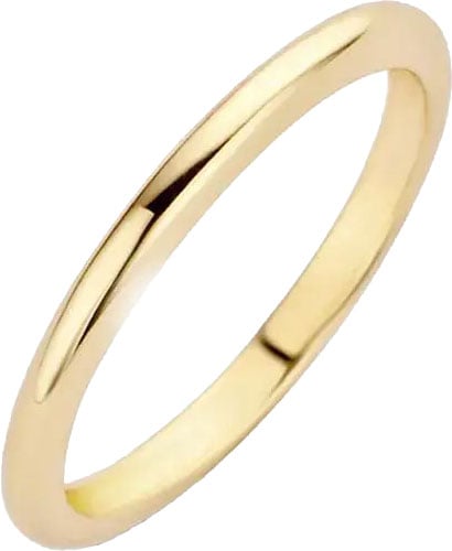 Blush Blush Ring 1117YGO/56 14k Geelgoud Glad Maat 56 Goud