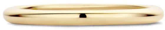 Blush Blush Ring 1117YGO/56 14k Geelgoud Glad Maat 56 Goud