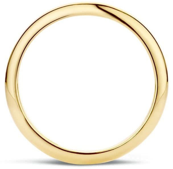 Blush Blush Ring 1117YGO/56 14k Geelgoud Glad Maat 56 Goud