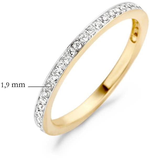Blush 1119BZI /54 Ring 14 krt geelgoud met zirkonia maat 54 Divers