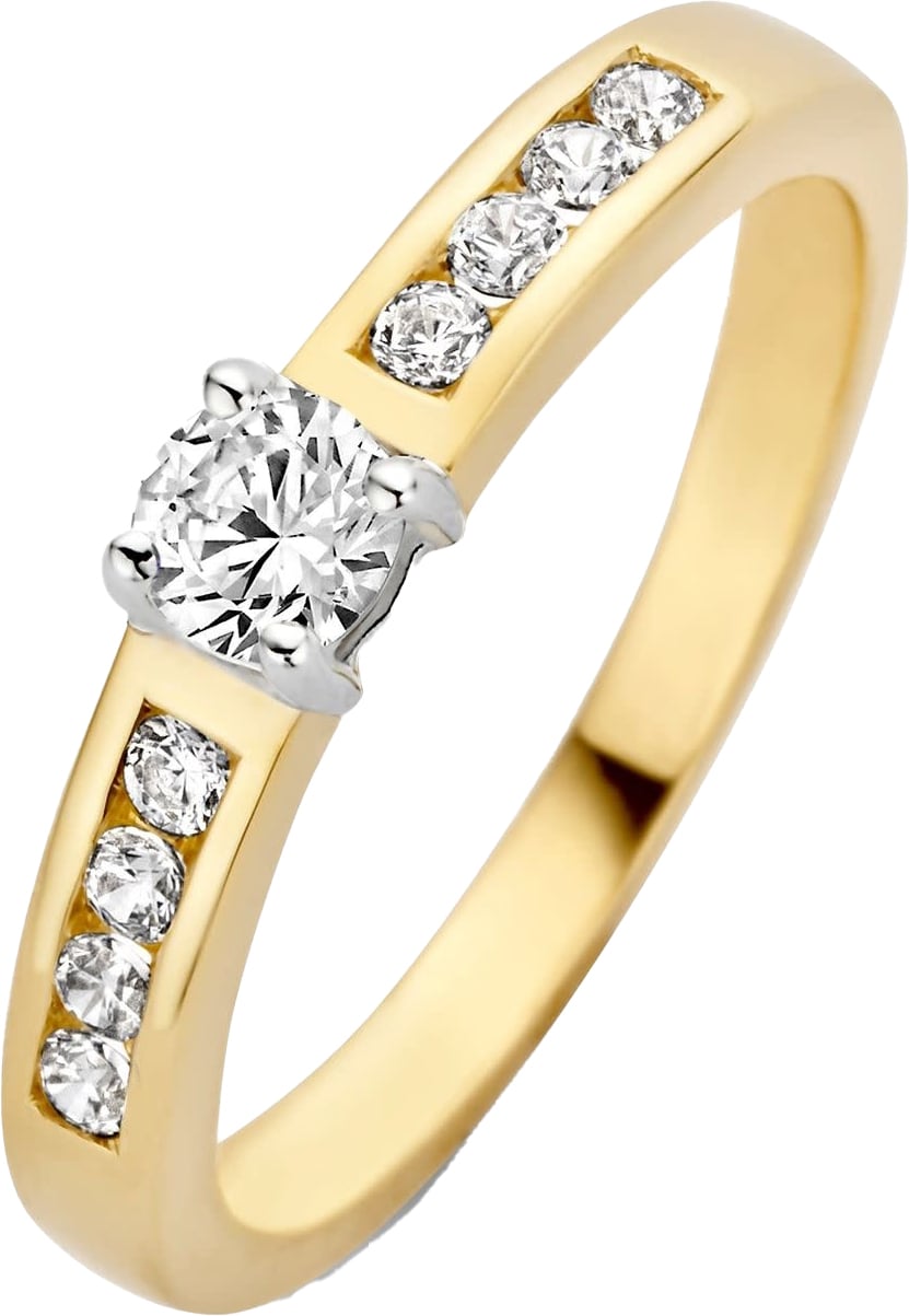 Blush Blush Ring 1125BZI/54 14k Geelgoud gezet met Briljant geslepen Zirkonia Maat 54 Divers