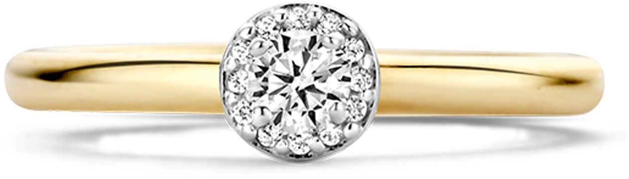 Blush 1131BZI/54 ring 14 krt geelgoud met zirkonia maat 54 Divers