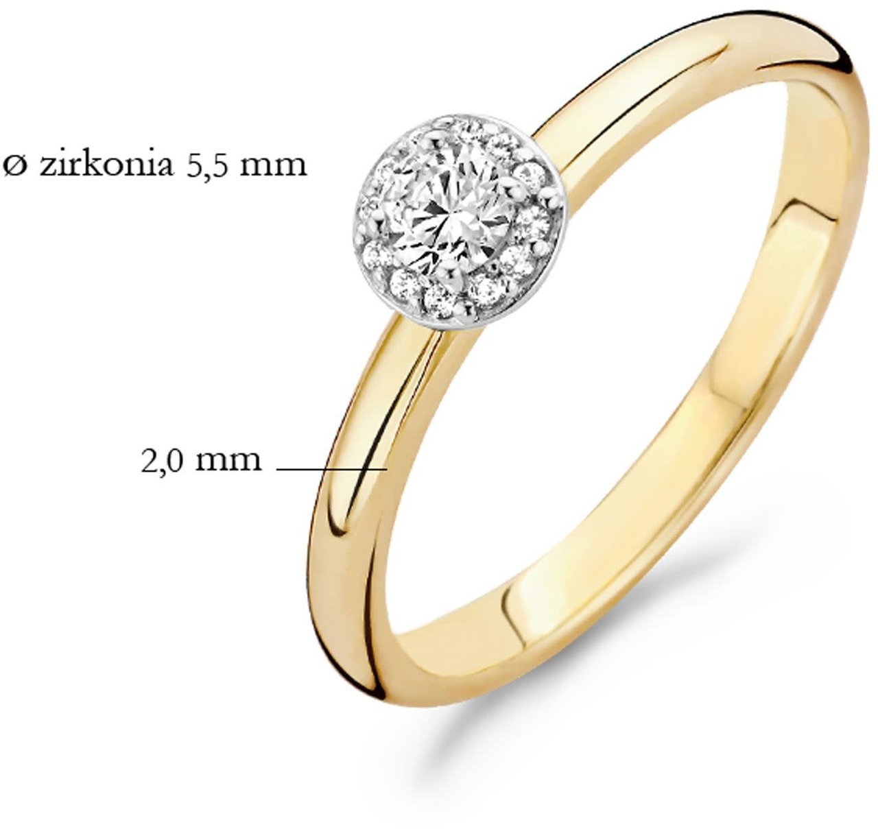 Blush 1131BZI/54 ring 14 krt geelgoud met zirkonia maat 54 Divers