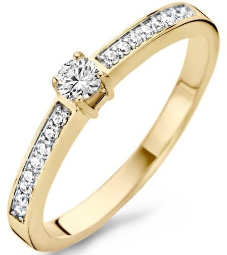 Blush 1145BZI/54 Ring 14 krt geelgoud met zirkonia maat 54 Goud
