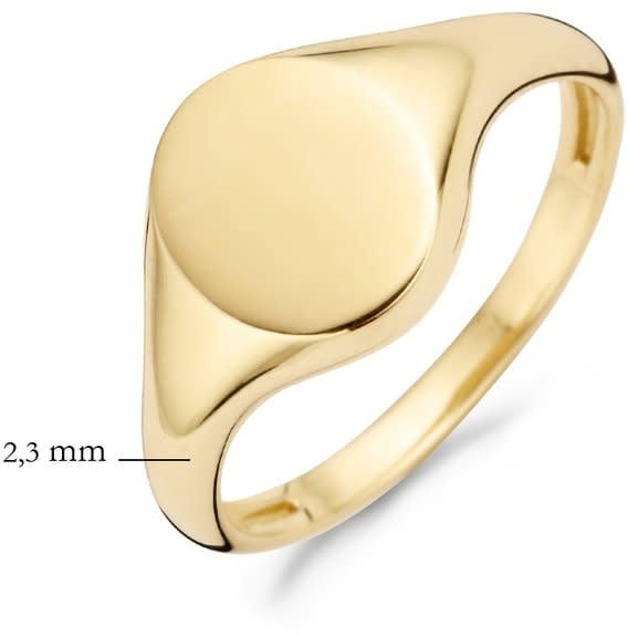 Blush 1190YGO/52 Ring 14 krt geelgoud maat 52 Goud