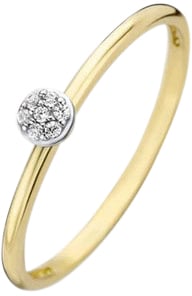 Blush Blush Ring 1199YZI/54 14k Geelgoud met Zirkonia Maat 54 Goud