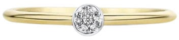 Blush Blush Ring 1199YZI/54 14k Geelgoud met Zirkonia Maat 54 Divers